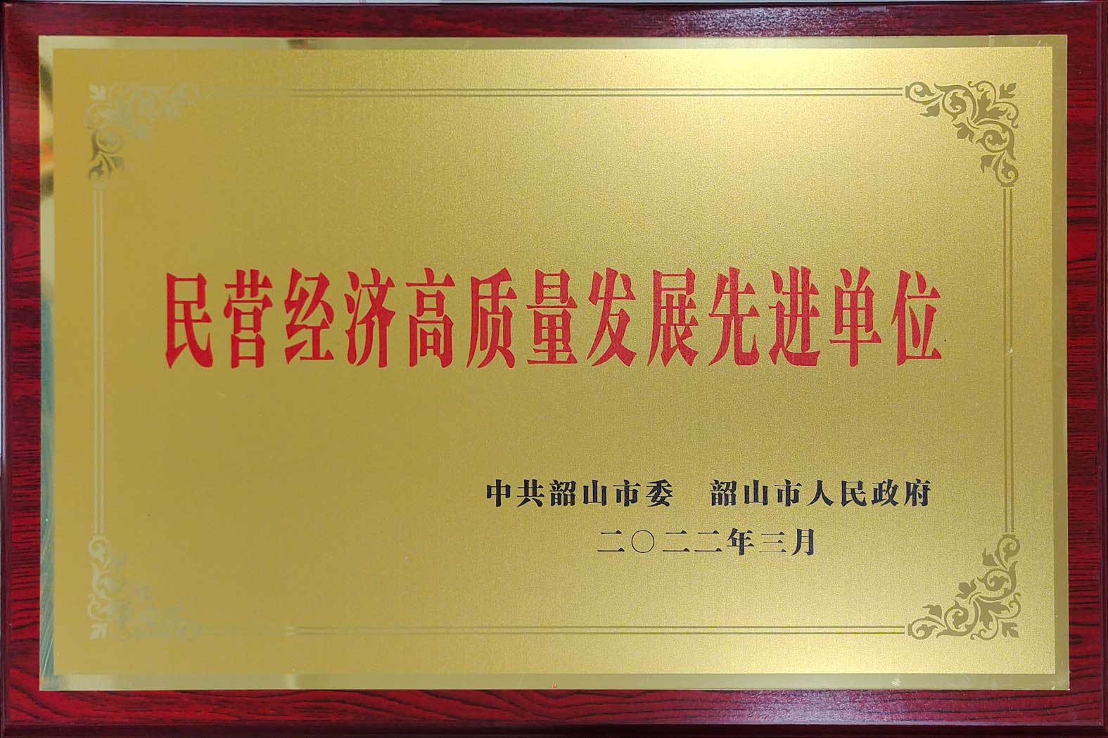 民營經濟高質量發(fā)展先進單位