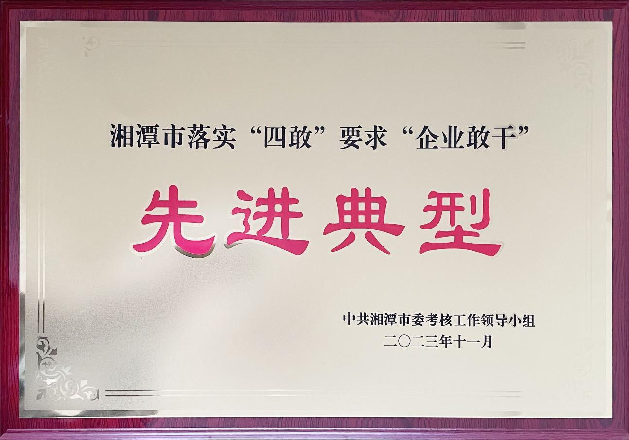 湘潭市落實“四敢”要求“企業(yè)敢干”先進(jìn)典型